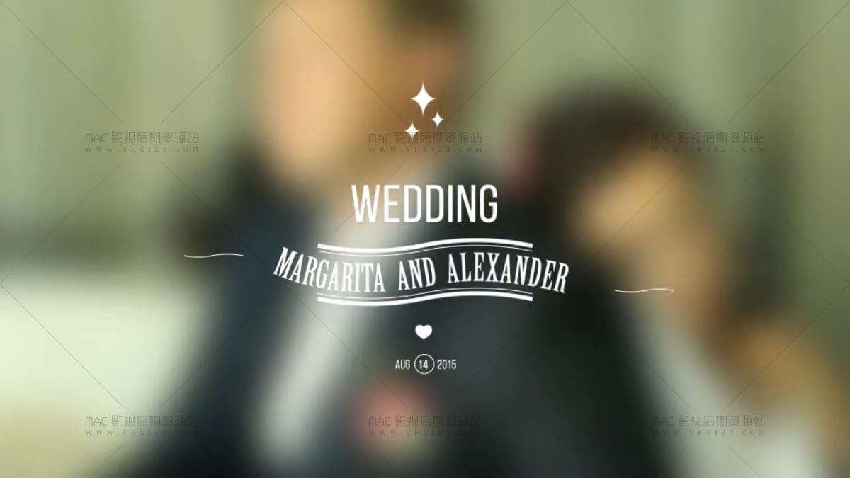 婚礼文字标题动画 图形线条标牌 11组 AE模板 Wedding Titles V3
