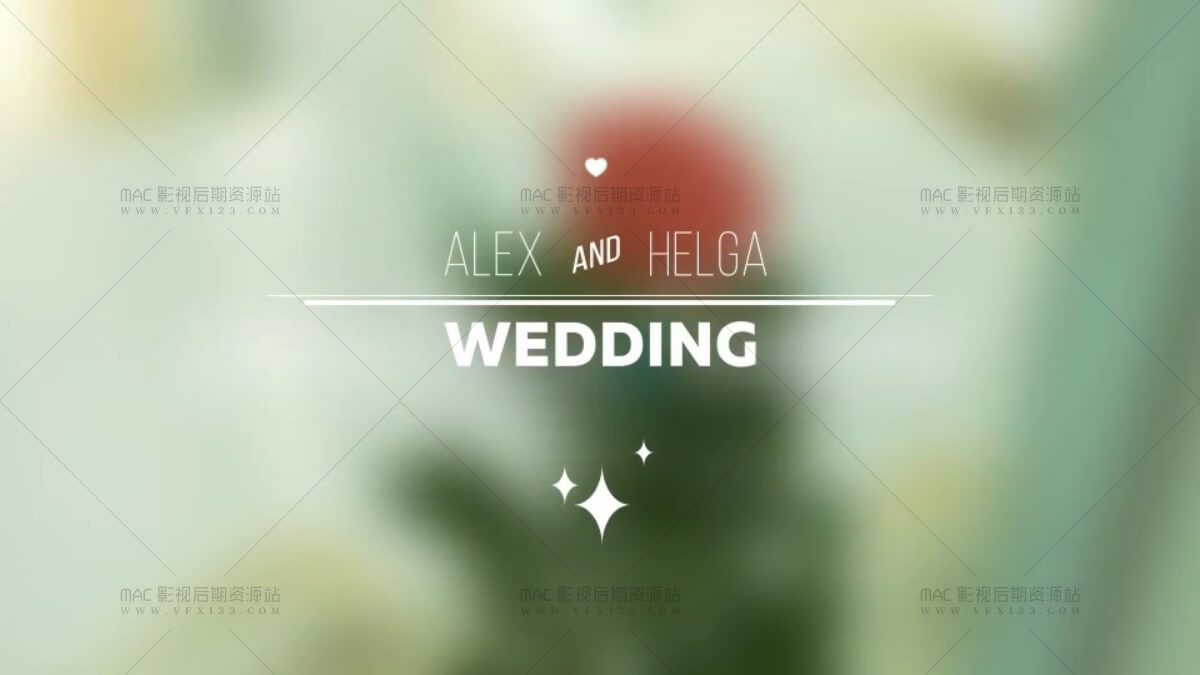 婚礼文字标题动画 图形线条标牌 11组 AE模板 Wedding Titles V3