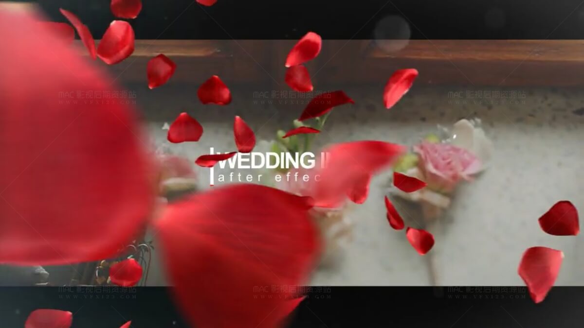 玫瑰花瓣婚礼情人节相册包装片头 Wedding Intro 
