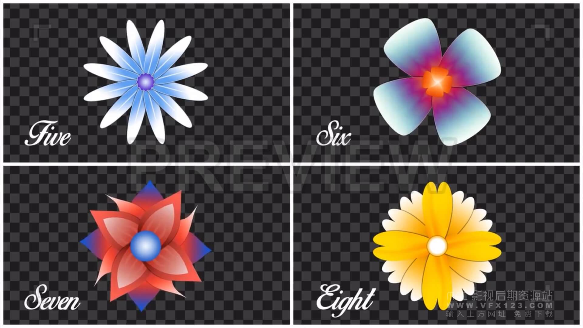 8个花朵绽放花瓣动画视频素材 带alpha通道