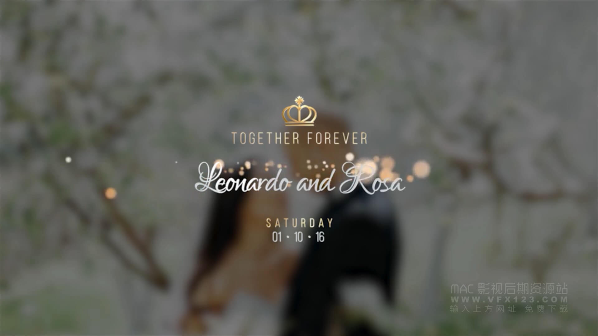 Ae模板 婚礼视频标题制作素材包 Luxory Wedding Title Kit 丨 MAC影视后期资源站