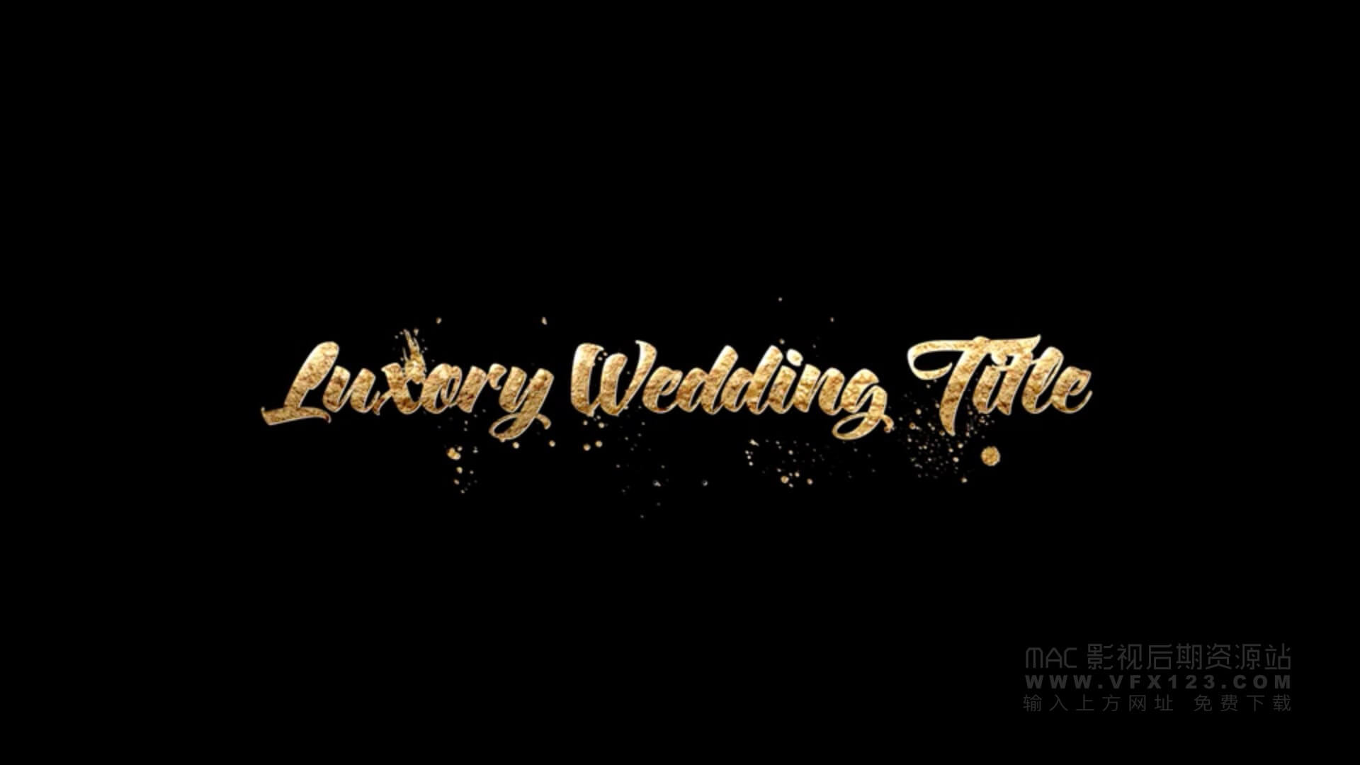Ae模板 婚礼视频标题制作素材包 Luxory Wedding Title Kit 丨 MAC影视后期资源站